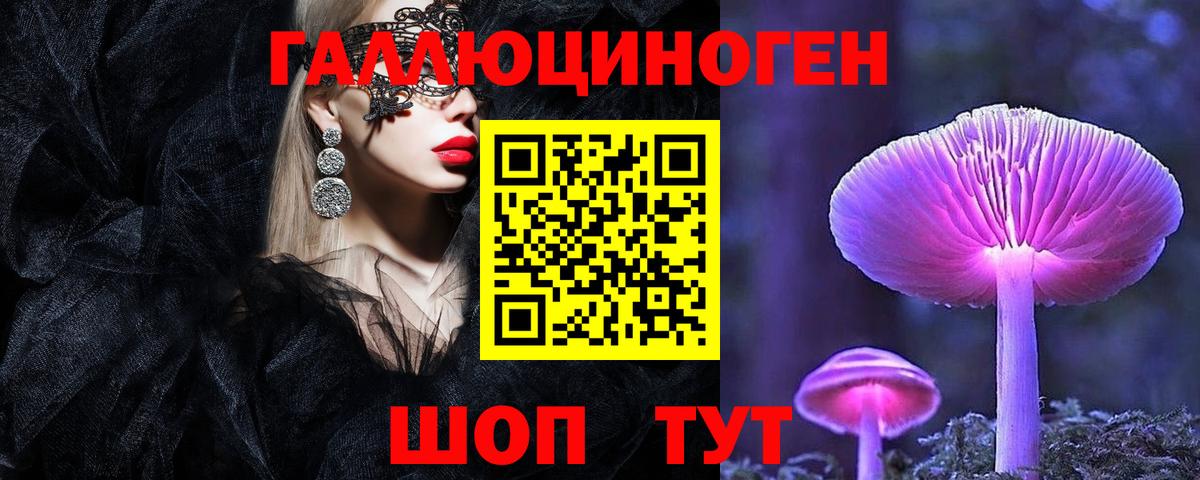 Гай  Псилоцибиновые грибы Psilocybine cubensis  Галлюциногенные грибы Magic Shrooms  Вход с VPN 