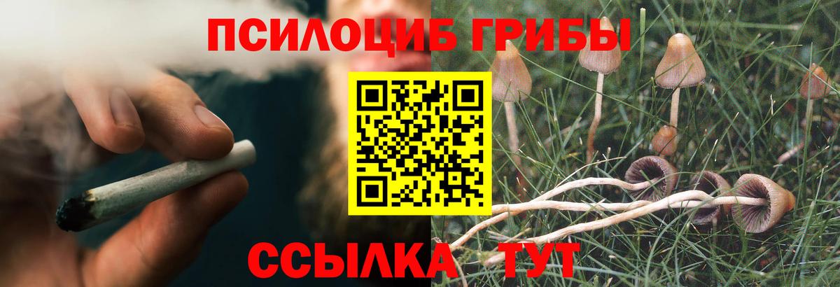 Псилоцибиновые грибы Magic Shrooms Гай